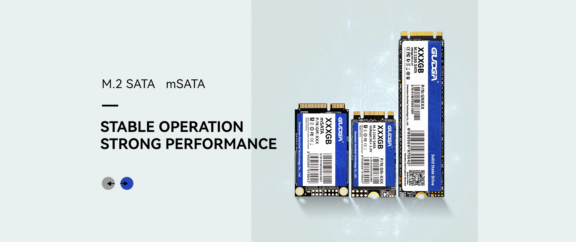 중국 할인 M.2 SATA SSD 제조업체