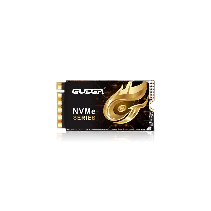 2242 PCIE 4.0 NVMe SSD 7000MB/초 2242 PCIE 4.0 NVMe SSD 7000MB/초